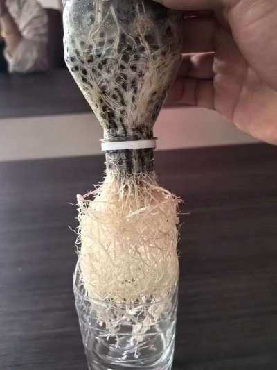 年销售量三十万吨的有机肥生产厂家，全国网点发货，资质齐全，正品保障！有机肥、生物菌肥、微生物肥料等