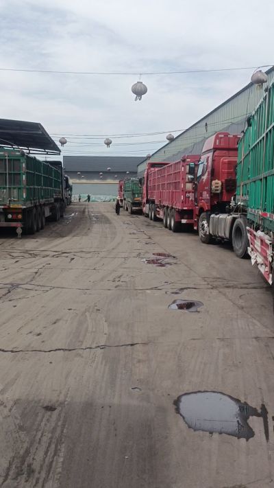 发酵 鸡粪，发酵羊粪 有机肥 微生物肥 微生物菌肥 微生物菌剂 每天出货量1500多吨，都是老客户介绍新微生物菌肥，山西马上出发，近期用肥的老板提前联系，马上到国庆节＋中秋节 一大部分物流都会放假，到