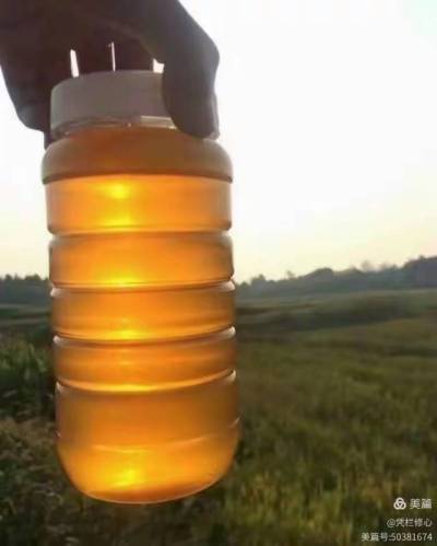 &ldquo;蜜&rdquo;源自然，臻选乡土精华。产自株洲市渌口区淦田镇成国家庭农场的纯天然中华蜂蜜，