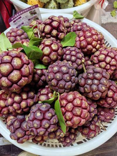 认水果，有认识的吗？