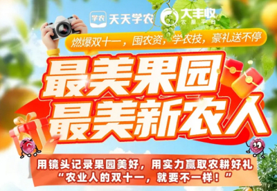 丰农控股2025年 &ldquo;最美果园&rdquo;&ldquo;最美新农人&rdquo; 评选活动启动，助力农业风采展示