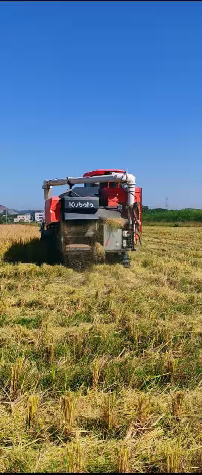 惠州基地，无人拖拉机收水稻了。