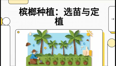 第01节：选苗与定植&mdash;&mdash;&ldquo;苗好一半收，底肥定千秋&rdquo;课程：《槟榔种植：从不懂到精通的10堂必修课》