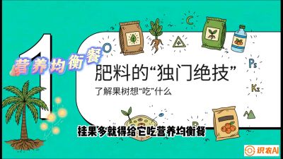 第07节：科学施肥&mdash;&mdash;&ldquo;氮磷钾配好，树壮果不倒