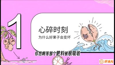 第08节：微量元素与保果&mdash;&mdash;&ldquo;补硼又补钙，果子不裂坏&rdquo;《槟榔种植：从不懂到精通的10堂必修课》