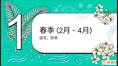 第10节：周年农事日历&mdash;&mdash;&ldquo;跟着节气走，丰产在手头&rdquo;《槟榔种植：从不懂到精通的10堂必修课》