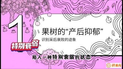 第2节：【冬肥策略】采后&ldquo;月子肥&rdquo;：大小年的精准干预术，课程：《柑橘底肥&ldquo;翻身账&rdquo;：从改土到高产的实战全书》