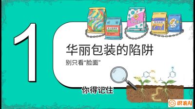 第4节：【黄金配方】底肥里的&ldquo;铁三角&rdquo;与&ldquo;微量雷区&rdquo;课程：《柑橘底肥&ldquo;翻身账&rdquo;：从改土到高产的实战全书》