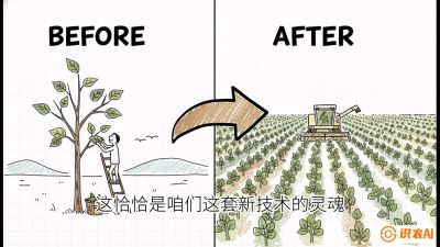 第02节：把树变成草&mdash;&mdash;&ldquo;草本化密植&rdquo;技术，课程：《桑海淘金：桑树高产与蚕桑安全进阶实战课》