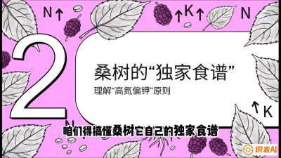 第04节：地下核动力&mdash;&mdash;桑树专用水肥一体化配方，课程：《桑海淘金：桑树高产与蚕桑安全进阶实战课》