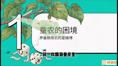 第06节：虫口夺叶（上）&mdash;&mdash;物理与生物防控绝技，课程《桑海淘金：桑树高产与蚕桑安全进阶实战课》