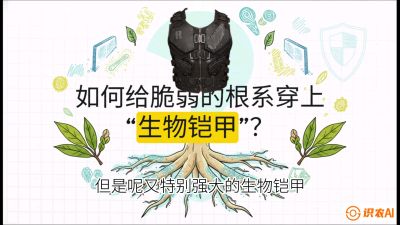 第三节：国产榴莲突围战：根系堡垒，菌根微生态构建与黄金定植窗口，课程：《国产榴莲突围战：从泰国经验到中国实操的8堂必修课（高阶实战版）》