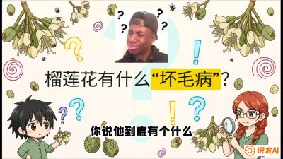 第六节：榴莲的午夜战事，夜间授粉战与花果期避雨策略，课程：《国产榴莲突围战：从泰国经验到中国实操的8堂必修课（高阶实战版）》