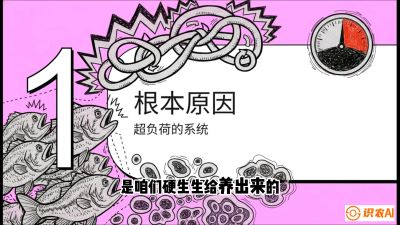 第三节：【爆款单品&middot;加州鲈】从&ldquo;玻璃鱼&rdquo;到&ldquo;摇钱树&rdquo;的通关秘籍，课程：《黄金鳞甲：2025中国淡水鱼高效养殖实战营》
