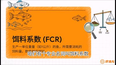 第五节：【高端单品&middot;鳜鱼】&ldquo;饲料鳜&rdquo;技术：打破吃活饵的高成本魔咒，课程：《黄金鳞甲：2025中国淡水鱼高效养殖实战营》