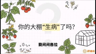 第2节（解毒篇）： 大棚里的&ldquo;红白绿&rdquo;警报&mdash;&mdash;读懂土壤盐渍化的求救信号，课程：《揭秘土壤的秘密：让土地帮你赚钱》#识农AI