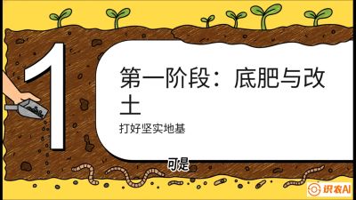 第6节（统筹篇）： 省钱又增产的&ldquo;黄金配比&rdquo;&mdash;&mdash;不同作物全年的养土实操方案，课程：《揭秘土壤的秘密：让土地帮你赚钱》#识农AI