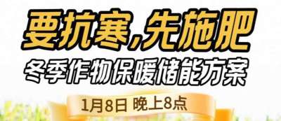 《细说农技》预警！多地作物冻害激增：种粮大户靠张宝林 &ldquo;3 步施肥&rdquo; 冻害降 90%，1 月 8 日