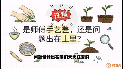 第02节（土肥篇）：告别&ldquo;苦涩水味&rdquo;：揭秘&ldquo;碳氮比&rdquo;调控术，种出自带兰花香的好茶底，课程：《茶金时代：从&ldquo;看天吃饭&rdquo;到&ldquo;精准控局&rdquo;的茶叶高产提质实战课》