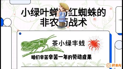 第03节（虫害篇）：看不见的吸血鬼：小绿叶蝉与红蜘蛛的&ldquo;非农药&rdquo;团灭战术（抗性治理），课程：《茶金时代：从&ldquo;看天吃饭&rdquo;到&ldquo;精准控局&rdquo;的茶叶高产提质实战课》