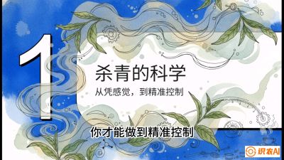 第05节（加工篇）：决胜2分钟：用&ldquo;数字温控&rdquo;破解杀青不匀，复刻大师级手工口感，课程：《茶金时代：从&ldquo;看天吃饭&rdquo;到&ldquo;精准控局&rdquo;的茶叶高产提质实战课》