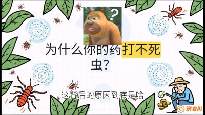 第4节：【虫害歼灭战】打不死的蓟马、隐形的茶黄螨：抗性时代的&ldquo;混配绝杀&rdquo;，课程：《辣椒种植实战特训营，从工业辣椒到精品小米辣，教你如何把&ldquo;草&rdquo;种成&ldquo;金&rdquo;》