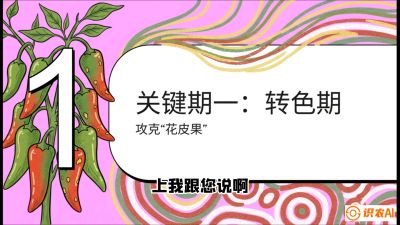 第8节：【小米辣线椒专场】颜值即正义！防花皮、防炭疽，打造收购商抢着要的&ldquo;精品果&rdquo;，课程：《辣椒种植实战特训营，从工业辣椒到精品小米辣，教你如何把&ldquo;草&rdquo;种成&ldquo;金&rdquo;》