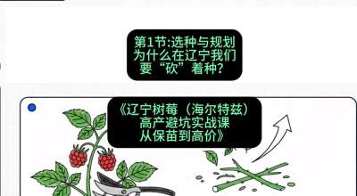 第一节： 选种与规划&mdash;&mdash;为什么在辽宁我们要&ldquo;砍&rdquo;着种？，课程：《辽宁树莓（海尔特兹）高产避坑实战课：从保苗到高价》