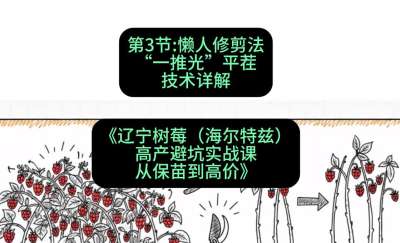 第三节： 懒人修剪法&mdash;&mdash;&ldquo;一推光&rdquo;平茬技术详解，课程：《辽宁树莓（海尔特兹）高产避坑实战课：从保苗到高价》