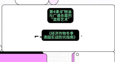 第4节：【替代方案】矿物油与广谱杀菌剂的&ldquo;混搭艺术&rdquo;，课程：《经济作物冬季清园&middot;实战防坑指南》#识农AI