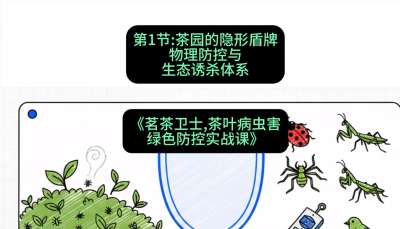 第01节：茶园的&ldquo;隐形盾牌&rdquo;&mdash;&mdash;物理防控与生态诱杀体系，课程：《茗茶卫士&mdash;&mdash;茶叶病虫害绿色防控实战课》#识农AI
