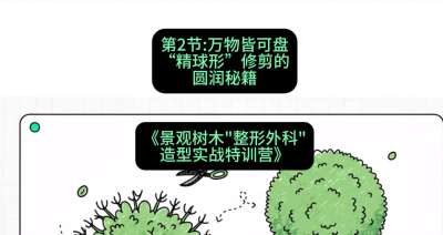 第02节：万物皆可盘&mdash;&mdash;&ldquo;精球形&rdquo;修剪的圆润秘籍，课程：《景观树木&ldquo;整形外科&rdquo;造型实战特训营》#识农AI
