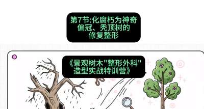 第07节：化腐朽为神奇&mdash;&mdash;偏冠、秃顶树的修复整形，课程：《景观树木&ldquo;整形外科&rdquo;造型实战特训营》#识农AI