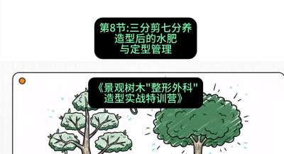第08节：三分剪七分养&mdash;&mdash;造型后的水肥与定型管理，课程：《景观树木&ldquo;整形外科&rdquo;造型实战特训营》#识农AI